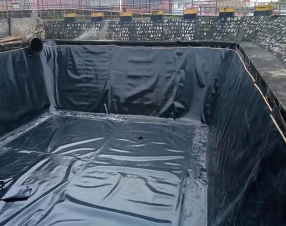 魚(yú)塘土工膜